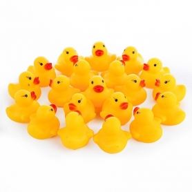 X10 Petits Canards pour le bain