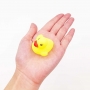 X10 Petits Canards pour le bain