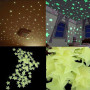 X50 Etoiles phosphorescente fluorescente Mur et plafond