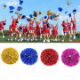 Pompon de cheerleader