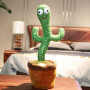 Cactus qui répète et dance