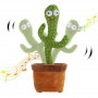 Cactus qui répète et dance